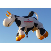 Оригинальные воздушные шарики